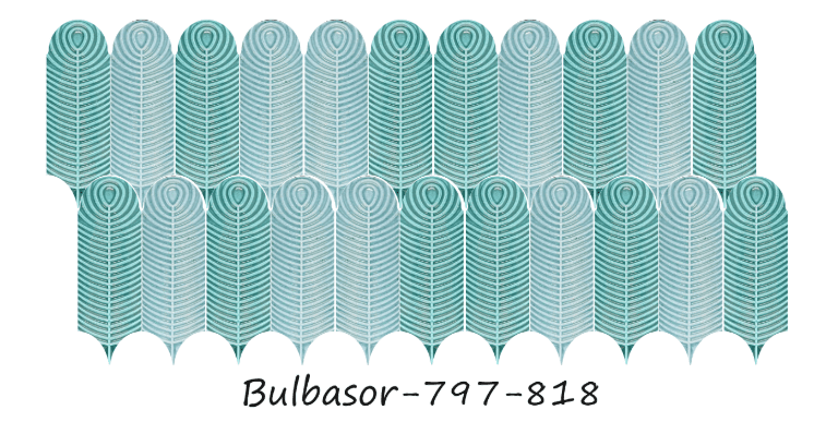 Bulbasor-797-818