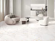 Vitrified Tiles