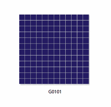G0101
