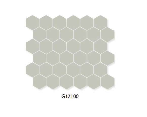 G17100