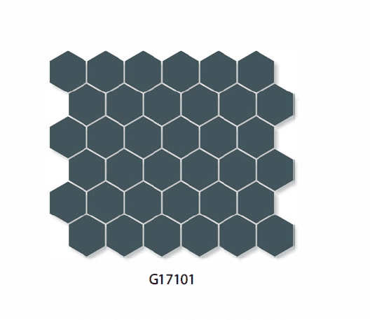 G17101