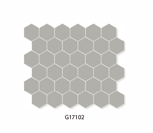 G17102