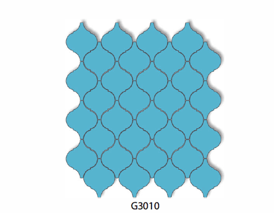 G3010