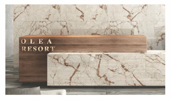 Perlato Pearl 2x4 Tiles for Floor and Wall - Image 2