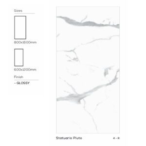 Statuaria Jupiter 2x4 tiles
